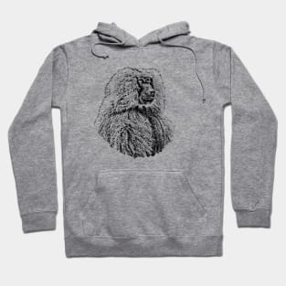 Baboon Hoodie